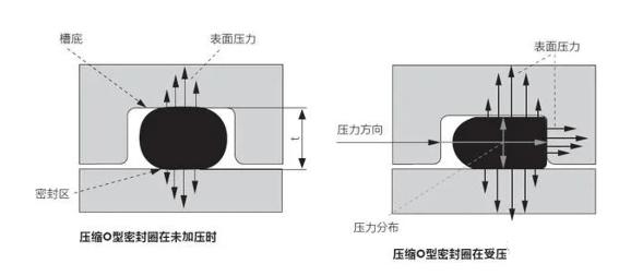 O形圈設(shè)計知識大全，也許對你有用哦~-2
